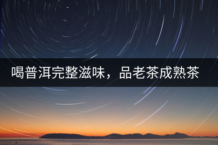 喝普洱完整滋味，品老茶成熟茶湯