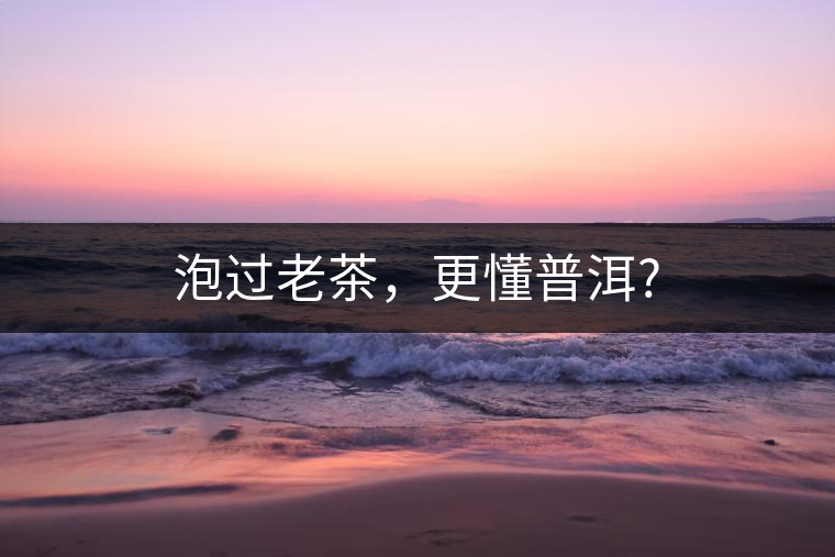 泡過老茶，更懂普洱?