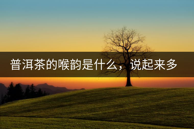 普洱茶的喉韻是什么，說(shuō)起來(lái)多少有點(diǎn)玄乎