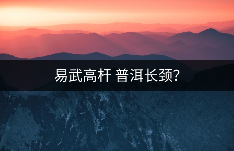 易武高桿 普洱長(zhǎng)頸？