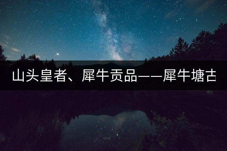 山頭皇者、犀牛貢品——犀牛塘古樹(shù)茶！