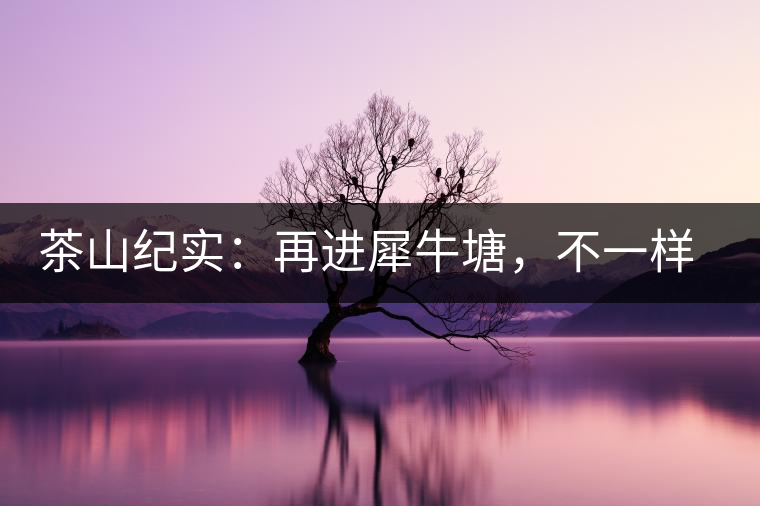 茶山紀實：再進犀牛塘，不一樣的感覺；菁瑤可以預見的豐收年