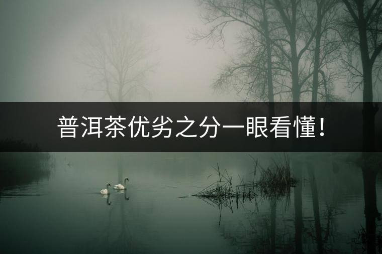 普洱茶優(yōu)劣之分一眼看懂！