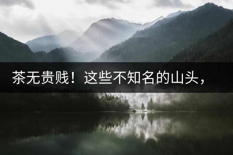 茶無(wú)貴賤！這些不知名的山頭，其實(shí)也產(chǎn)優(yōu)質(zhì)普洱茶！