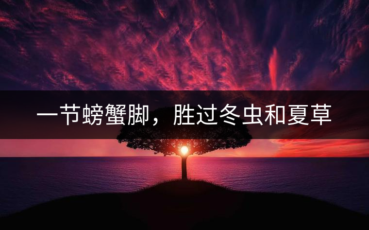 一節(jié)螃蟹腳，勝過冬蟲和夏草