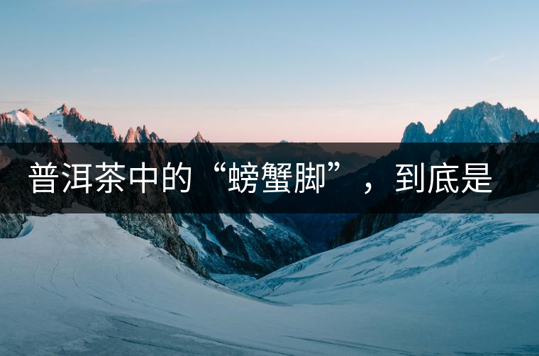普洱茶中的“螃蟹腳”，到底是什么？如何辨別？