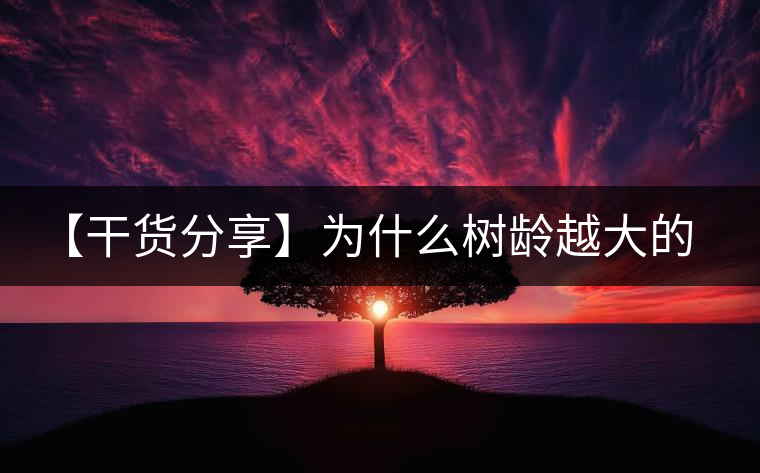 【干貨分享】為什么樹(shù)齡越大的普洱生茶，苦味越容易化掉？