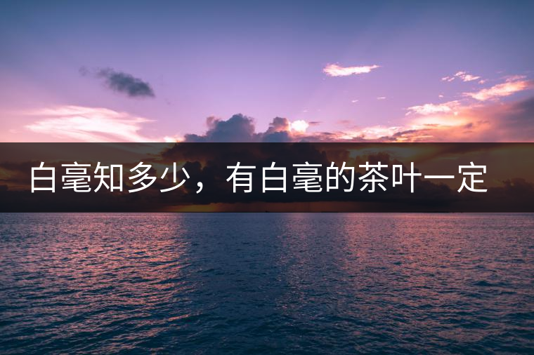 白毫知多少，有白毫的茶葉一定好嗎？