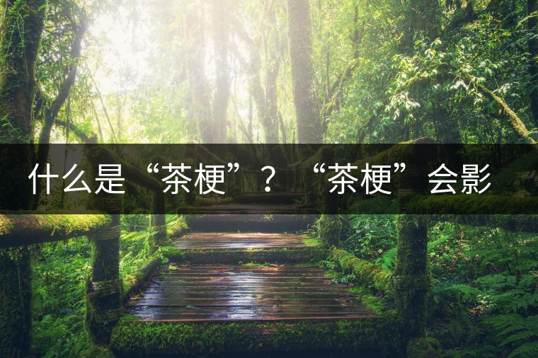 什么是“茶?！?？“茶?！睍?huì)影響普洱茶品質(zhì)？