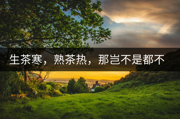 生茶寒，熟茶熱，那豈不是都不能喝了？丨實用