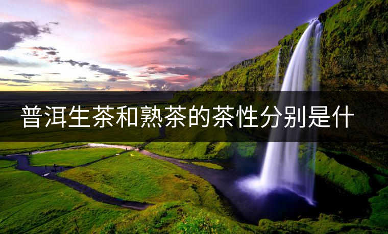 普洱生茶和熟茶的茶性分別是什么？涼性還是熱性？