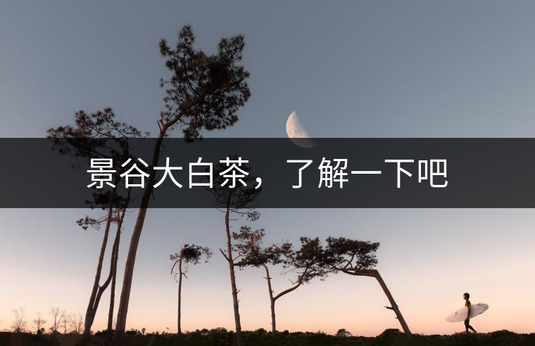 景谷大白茶，了解一下吧