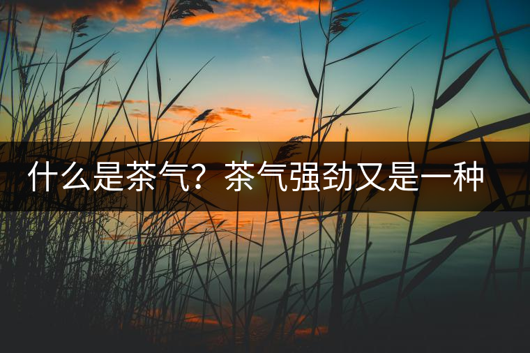 什么是茶氣？茶氣強勁又是一種怎樣的體驗？