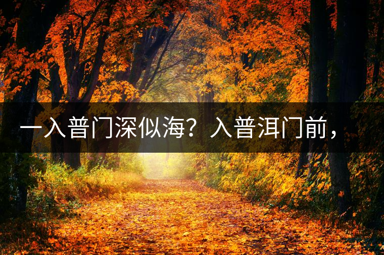 一入普門深似海？入普洱門前，你需要了解這些