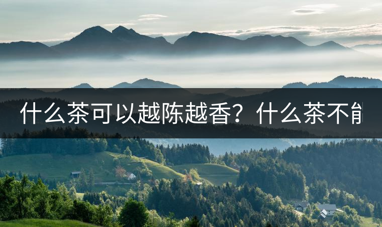 什么茶可以越陳越香？什么茶不能？