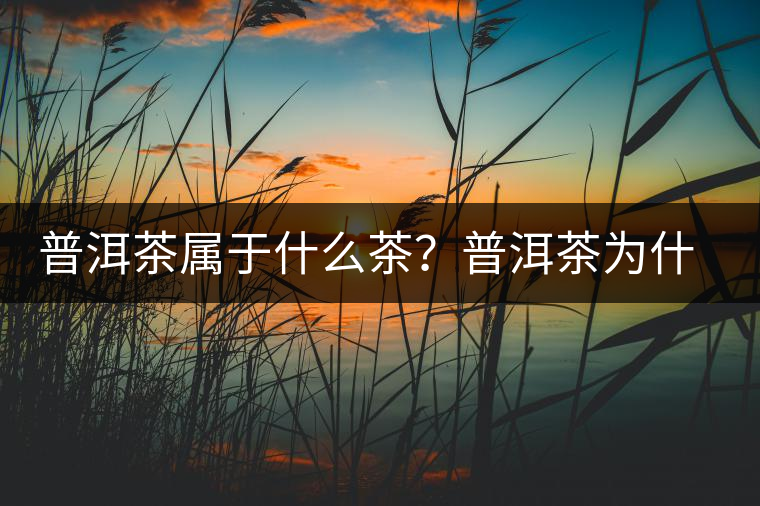 普洱茶屬于什么茶？普洱茶為什么會(huì)越陳越香？