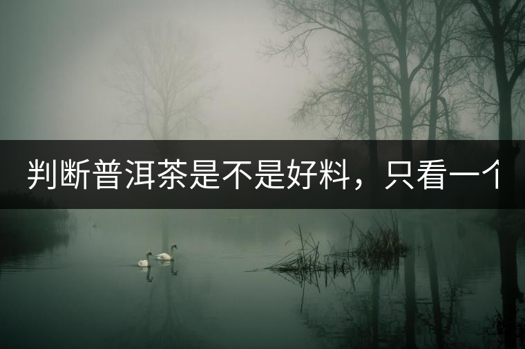 判斷普洱茶是不是好料，只看一個(gè)地方！