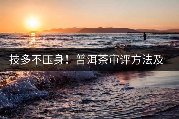 技多不壓身！普洱茶審評(píng)方法及專(zhuān)業(yè)術(shù)語(yǔ)大全（下）