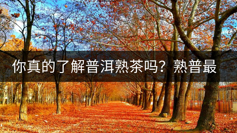 你真的了解普洱熟茶嗎？熟普最詳細(xì)的揭秘都在這里了。