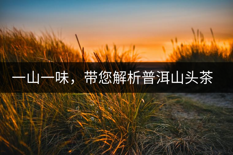 一山一味，帶您解析普洱山頭茶的密碼究竟是什么？