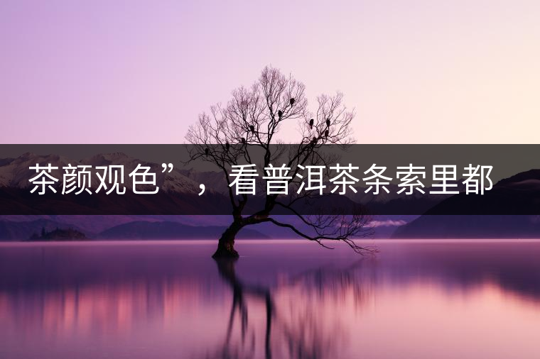 茶顏觀色”，看普洱茶條索里都蘊含著怎樣的“密碼”？