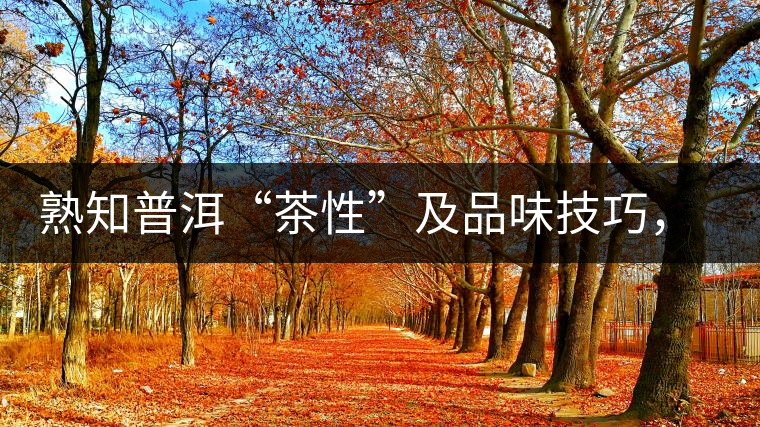 熟知普洱“茶性”及品味技巧，方能品出好茶