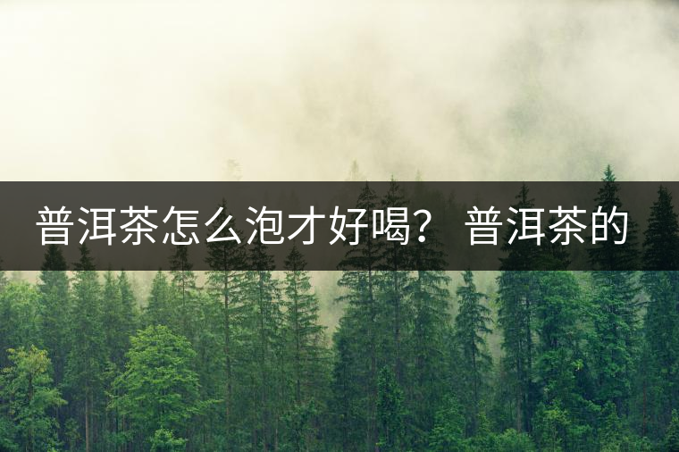 普洱茶怎么泡才好喝？ 普洱茶的沖泡技巧！