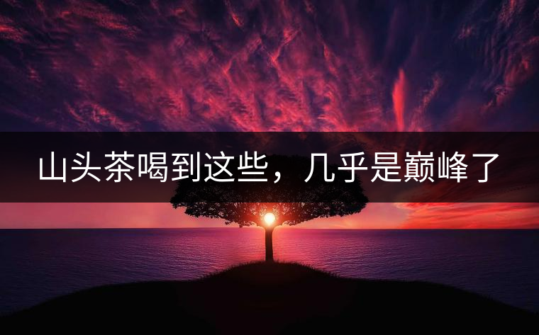 山頭茶喝到這些，幾乎是巔峰了