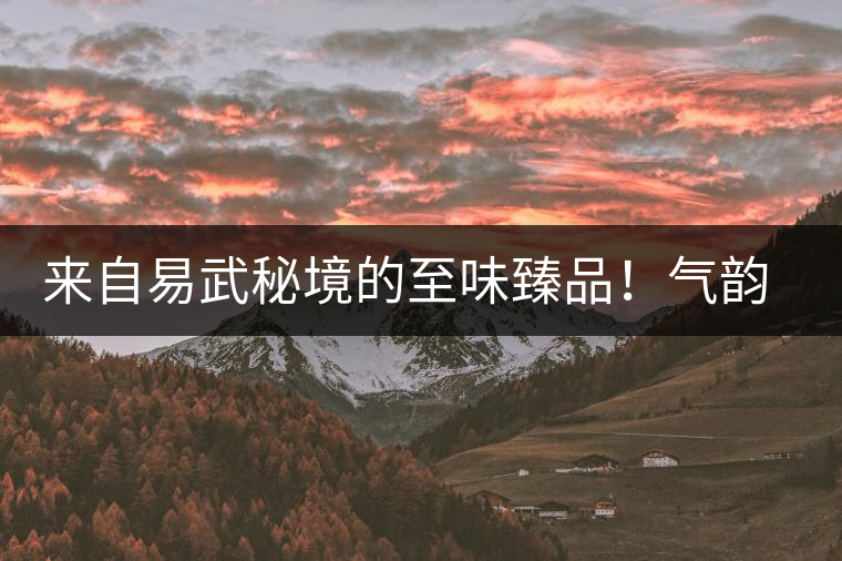 來(lái)自易武秘境的至味臻品！氣韻強(qiáng)勁，余韻深邃，一口喚醒你的味蕾~