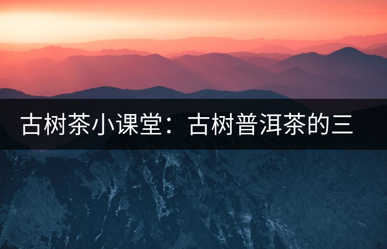 古樹茶小課堂：古樹普洱茶的三大價值