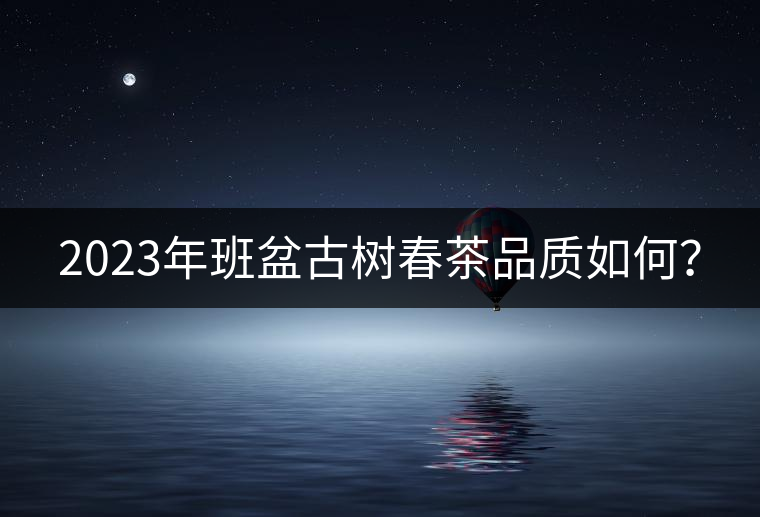 2023年班盆古樹春茶品質(zhì)如何？