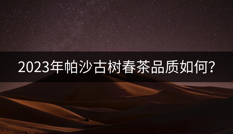 2023年帕沙古樹春茶品質(zhì)如何？