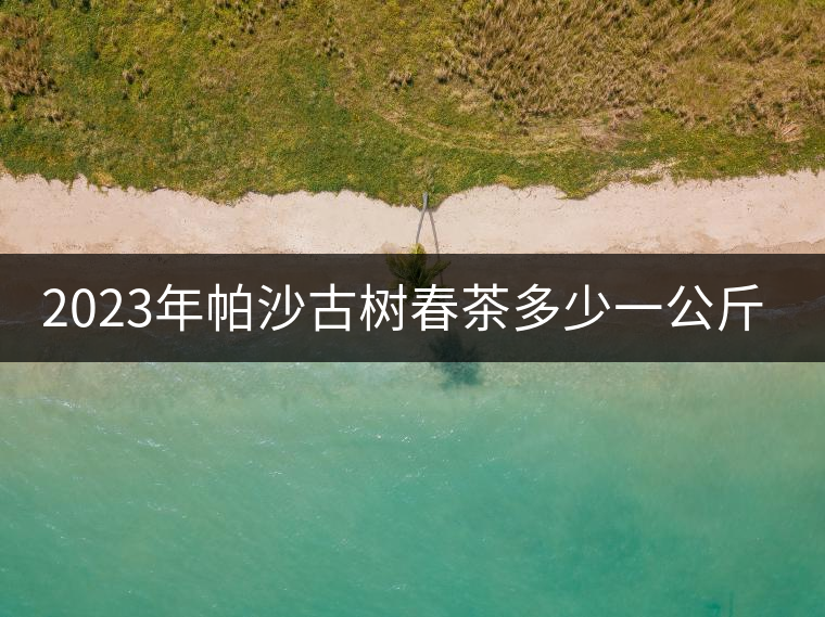 2023年帕沙古樹春茶多少一公斤？