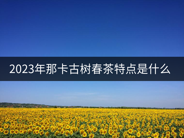 2023年那卡古樹春茶特點(diǎn)是什么？