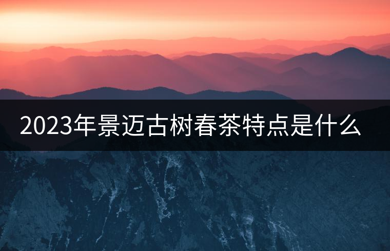 2023年景邁古樹春茶特點是什么？