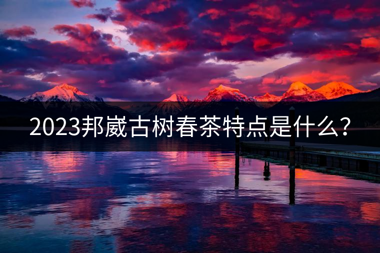 2023邦崴古樹春茶特點是什么？