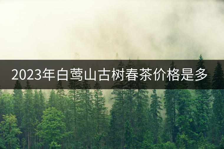 2023年白鶯山古樹春茶價(jià)格是多少？