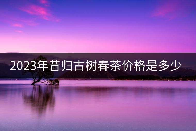 2023年昔歸古樹春茶價格是多少？