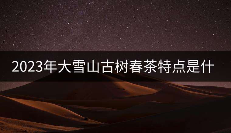2023年大雪山古樹春茶特點(diǎn)是什么？