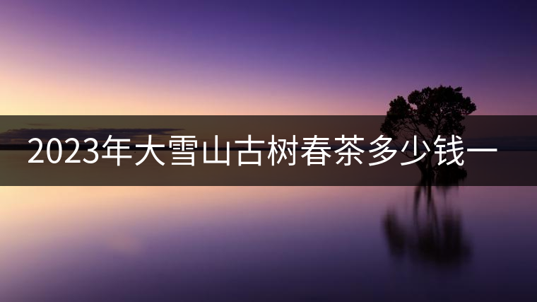 2023年大雪山古樹(shù)春茶多少錢(qián)一公斤？