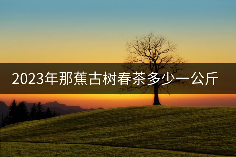 2023年那蕉古樹春茶多少一公斤？