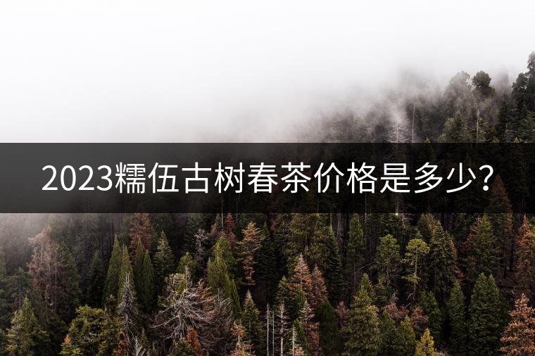 2023糯伍古樹(shù)春茶價(jià)格是多少？