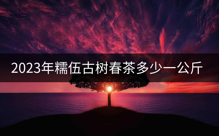 2023年糯伍古樹春茶多少一公斤？