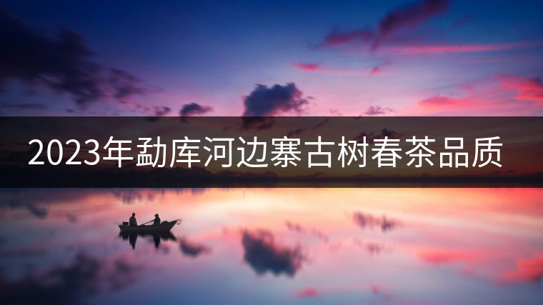 2023年勐庫(kù)河邊寨古樹(shù)春茶品質(zhì)如何？
