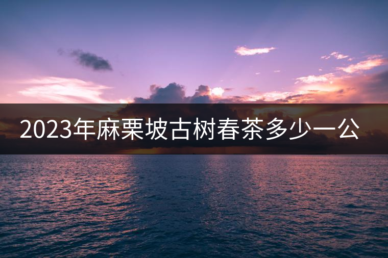 2023年麻栗坡古樹春茶多少一公斤？