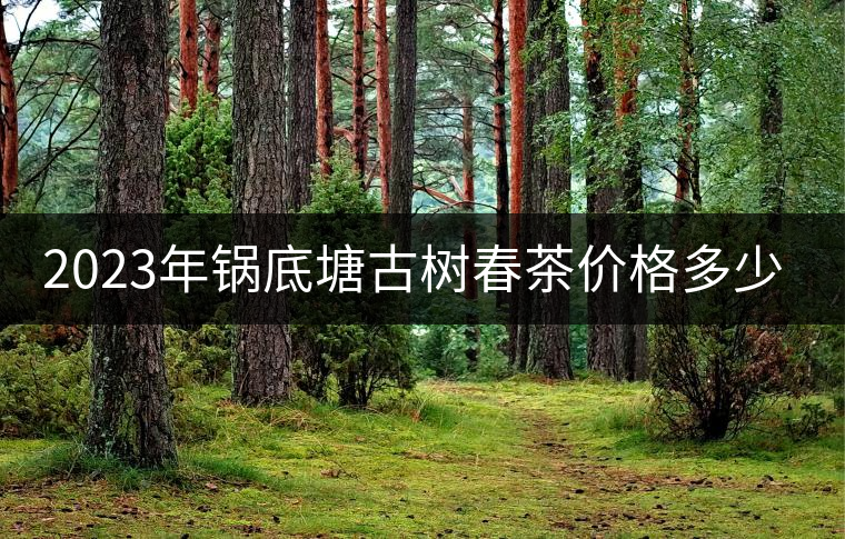 2023年鍋底塘古樹春茶價格多少？