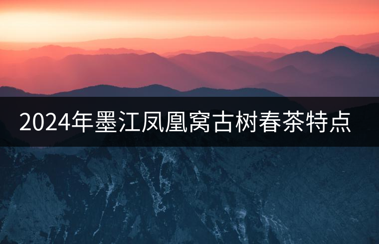 2024年墨江鳳凰窩古樹春茶特點(diǎn)是什么？