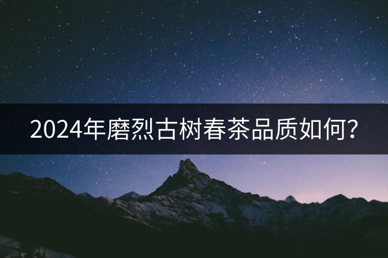 2024年磨烈古樹(shù)春茶品質(zhì)如何？
