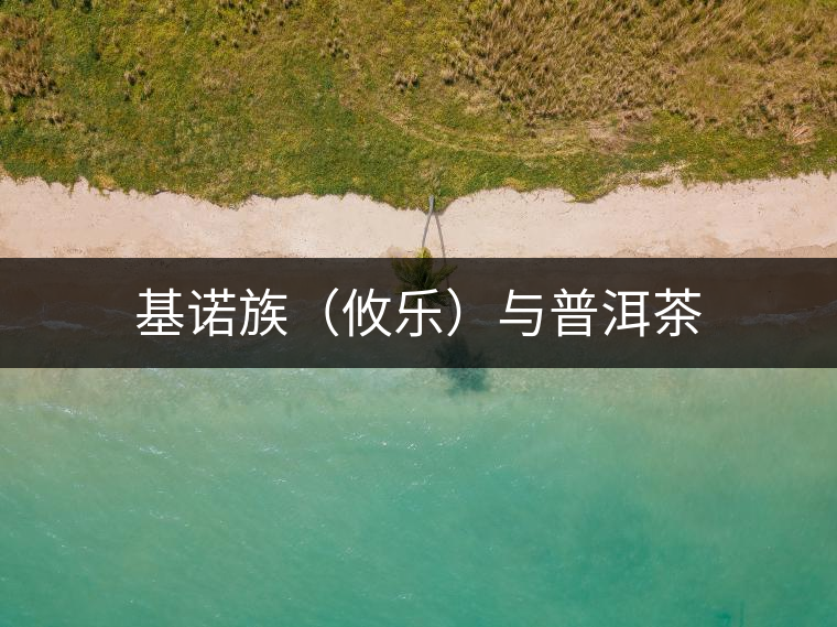 基諾族（攸樂(lè)）與普洱茶