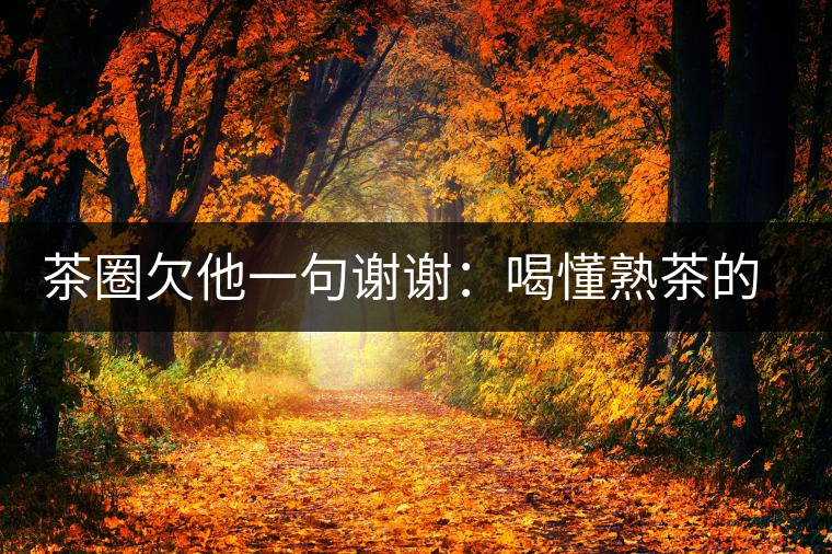 茶圈欠他一句謝謝：喝懂熟茶的人，都該記住陳佩仁這個(gè)名字